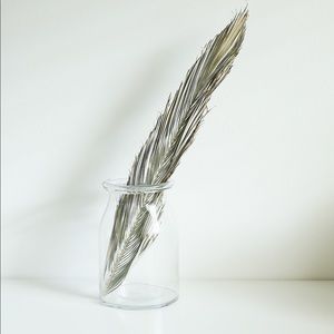 Dried Palm Leaf Decor Piece